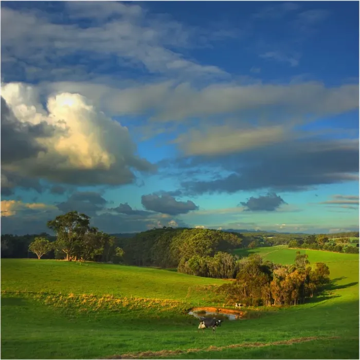 Framed Print : Countryside landscape near Toora, south Gippsland, Victoria, Australia Framed Print : Countryside landscape near Toora, south Gippsland, Victoria, Australia