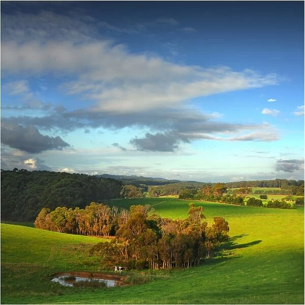 Countryside landscape near Toora, south Gippsland, Victoria, Australia