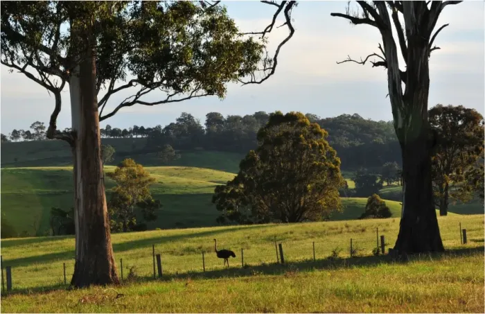 Framed Print : Countryside near Bairnsdale, Victoria, Australia Framed Print : Countryside near Bairnsdale, Victoria, Australia