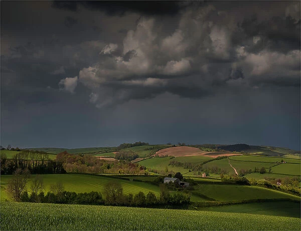 The countryside near the village of Alton Pancras, in the spring, Dorset, England, United Kingdom