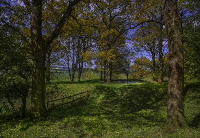 Framed Print : Countryside view at Badbury Rings, Dorset, England, United Kingdom