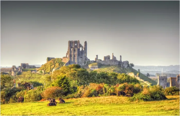 Framed Print : A countryside view near Corfe Castle, Isle of Purbeck, Dorset, England