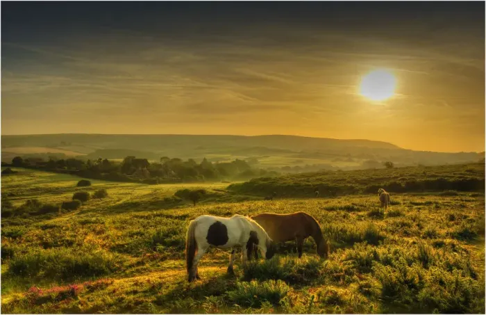 Framed Print : A countryside view near Corfe Castle, Isle of Purbeck, Dorset, England