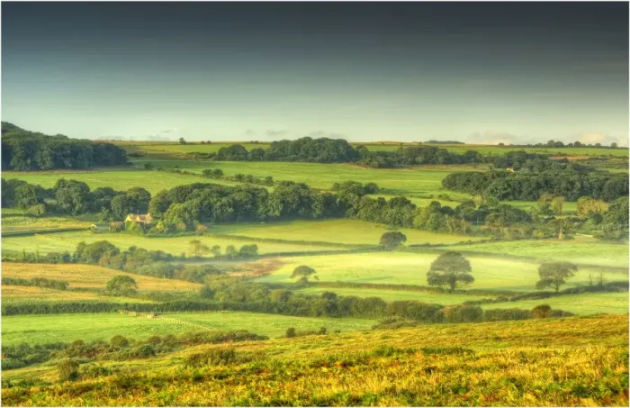 Framed Print : A countryside view near Corfe Castle, Isle of Purbeck, Dorset, England Framed Print : A countryside view near Corfe Castle, Isle of Purbeck, Dorset, England