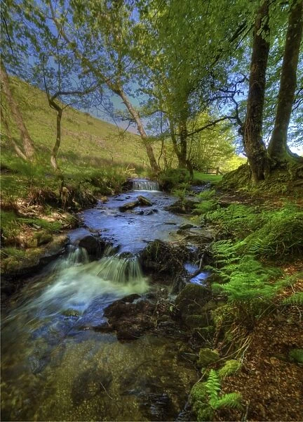 A countryside view near Simonsbath, Exmoor National park, Devon, England, United Kingdom
