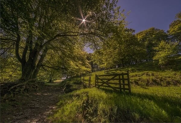 A countryside view near Simonsbath, Exmoor National park, Devon, England, United Kingdom