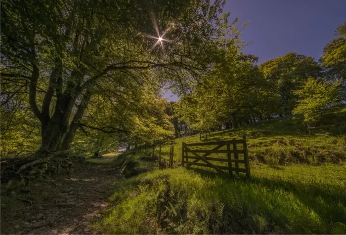 Framed Print : A countryside view near Simonsbath, Exmoor National park, Devon, England, United Kingdom
