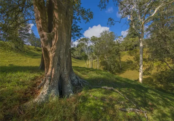 Framed Print : A countryside view in the picturesque rurals of Norfolk Island