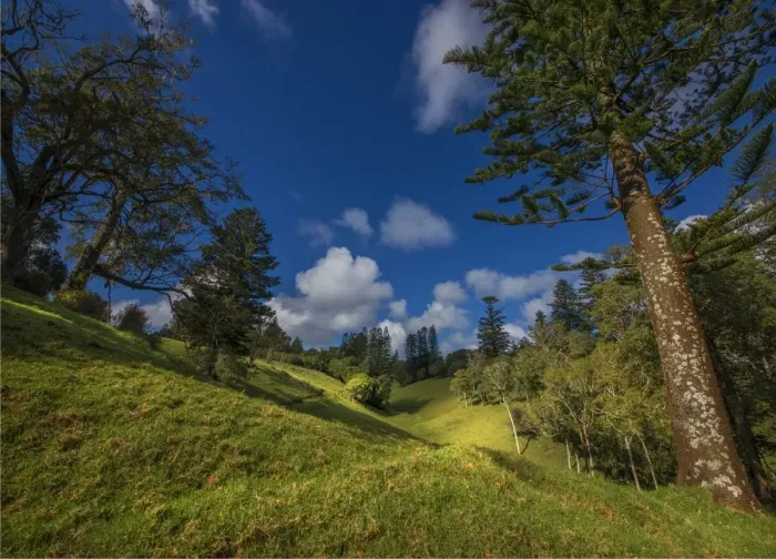 Framed Print : A countryside view in the picturesque rurals of Norfolk Island Framed Print : A countryside view in the picturesque rurals of Norfolk Island