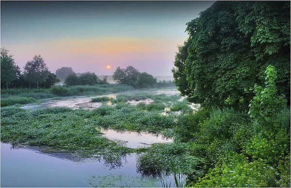 Countryside view along the Stour River at dawn, Dorset, England, United kingdom