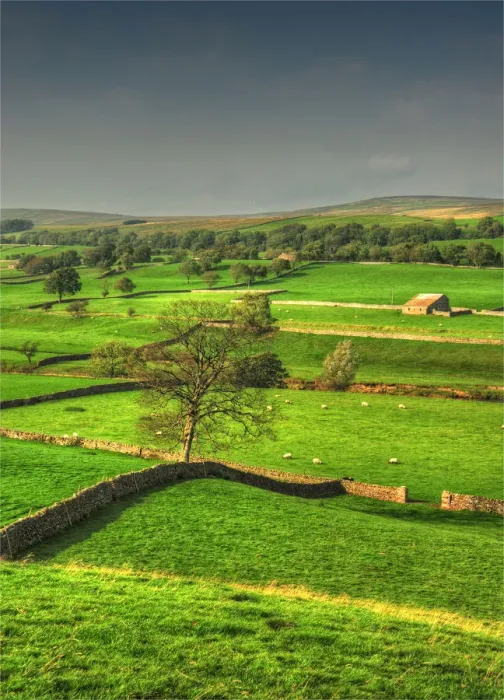 Framed Print : Countryside Yorkshire Dales