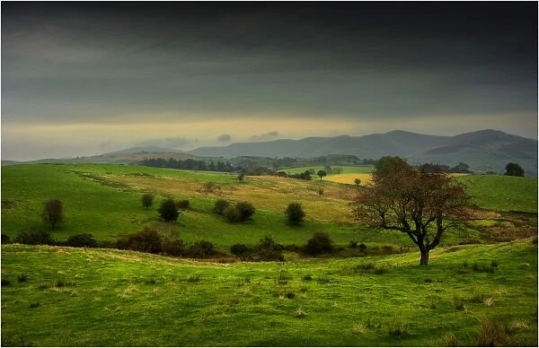 Countryside in Yorkshire, England, United Kingdom