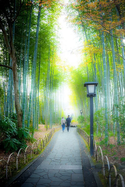 A couple walking on Bamboo Forest Pass at Shuzenji