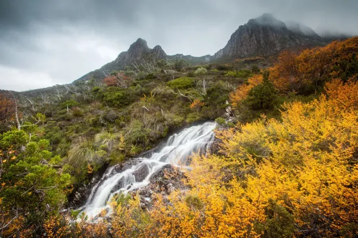 Framed Print : Cradle Mountain Framed Print : Cradle Mountain