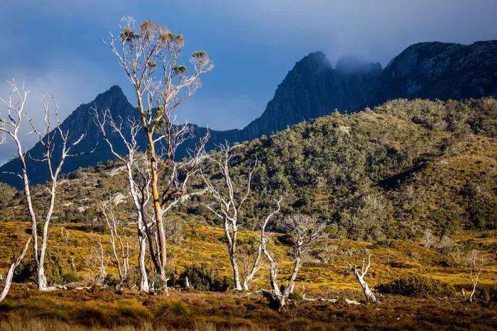 Framed Print : Cradle Mountain. Tasmania. Australia Framed Print : Cradle Mountain. Tasmania. Australia