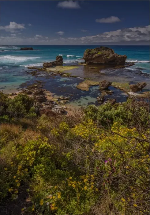 Framed Print : The Crags, an unusual coastal area near Port Fairy, Victoria, Australia Framed Print : The Crags, an unusual coastal area near Port Fairy, Victoria, Australia