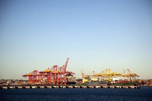 Cranes on a commercial dock