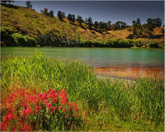 Framed Print : Crater lake, a smaller body of water within the nature reserve of the Blue Lake, Mount Gambier, South Australia Framed Print : Crater lake, a smaller body of water within the nature reserve of the Blue Lake, Mount Gambier, South Australia