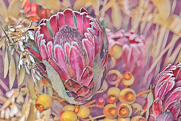 Creative digital image manipulation of a a bunch of flowers, proteas and gumnuts
