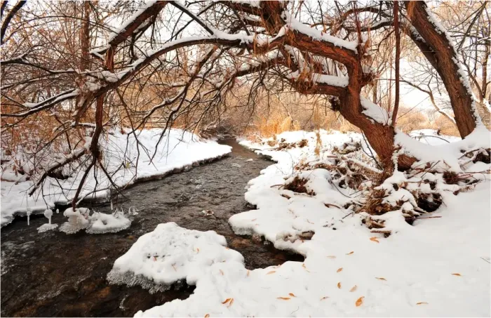 Framed Print : Mill creek in Moab, with a winter fall of snow, Utah, United States
