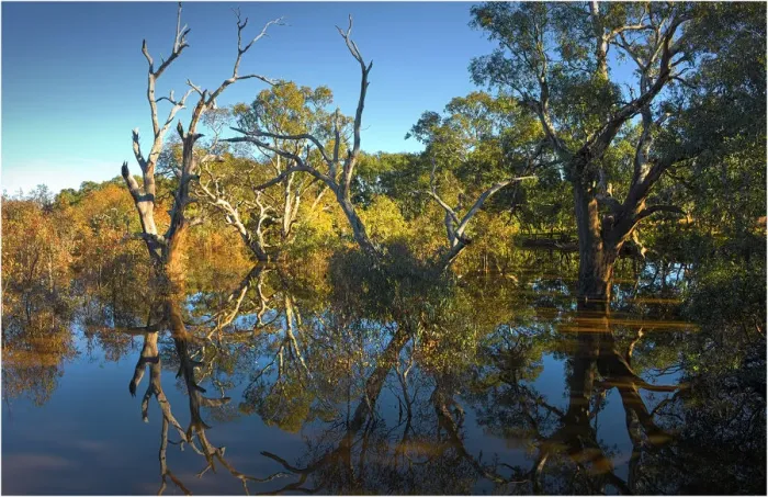 Framed Print : Creek reflections at Mount Ida, Victoria, Australia Framed Print : Creek reflections at Mount Ida, Victoria, Australia