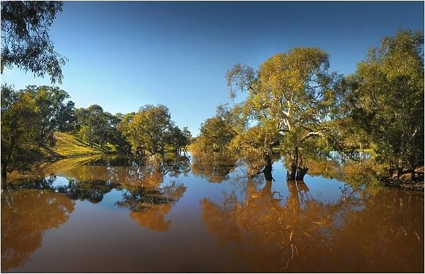 Creek reflections at Mount Ida, Victoria, Australia