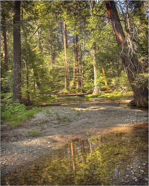 Creek reflections, Yosemite national park, California