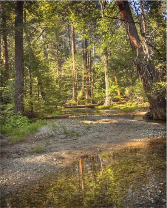 Framed Print : Creek reflections, Yosemite national park, California Framed Print : Creek reflections, Yosemite national park, California