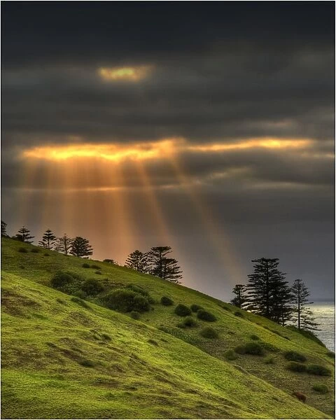 Crepuscular rays over Cemetery bay