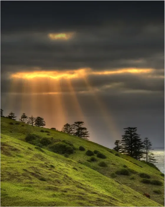 Framed Print : Crepuscular rays over Cemetery bay