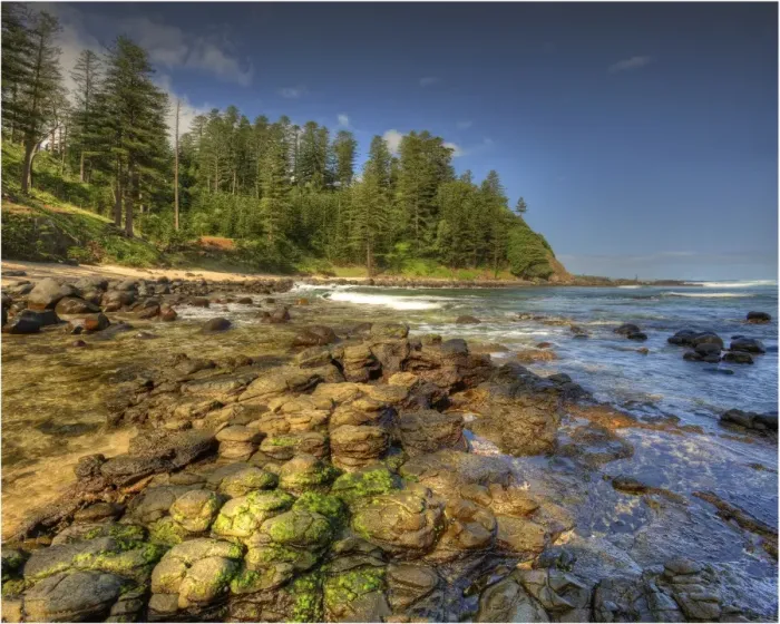 Framed Print : Cresswell Bay Foreshore Framed Print : Cresswell Bay Foreshore