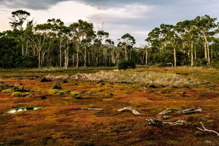 Framed Print : Croocked Laggon at Maria Island, Tasmania