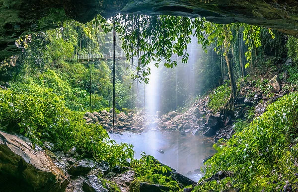 Crystal Shower Falls in Gondwana Rainforests