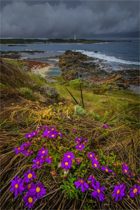 Framed Print : Currie harbour view, King Island, Bass Strait, Tasmania Framed Print : Currie harbour view, King Island, Bass Strait, Tasmania