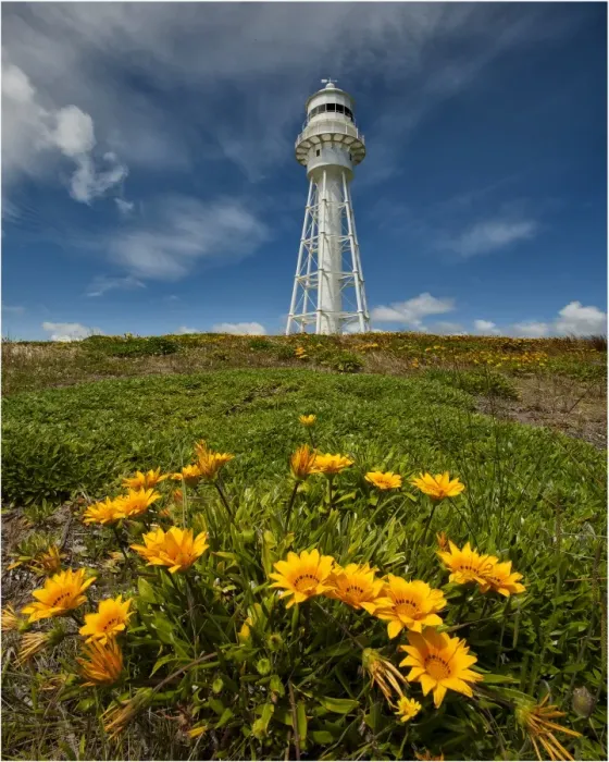 Framed Print : The Currie Lighthouse on King Island Tasmania, sent out from England and built in pieces from iron and steel