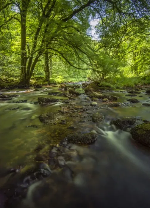 Framed Print : Dart River Devon moors, England
