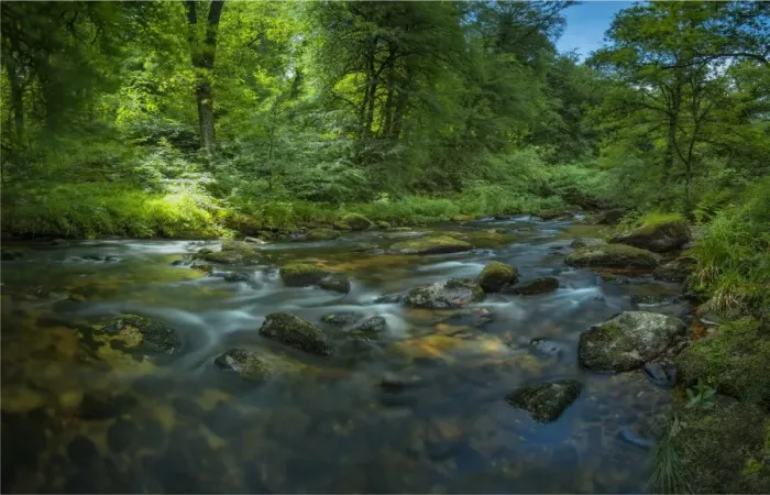 Framed Print : Dart River Devon moors, England