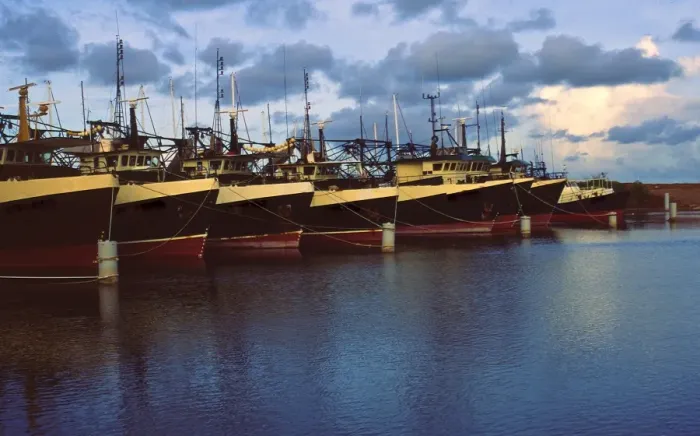Framed Print : Darwin fishing fleet Framed Print : Darwin fishing fleet