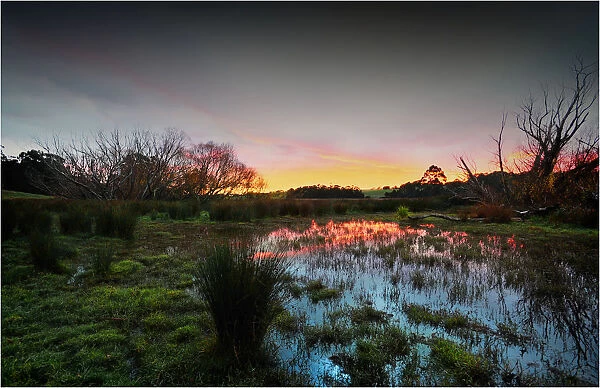 A dawn over farmland at Barwon Downs, Victoria