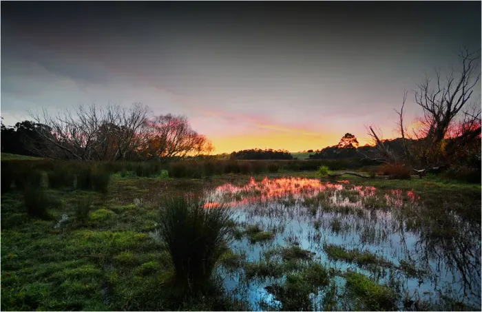 Framed Print : A dawn over farmland at Barwon Downs, Victoria
