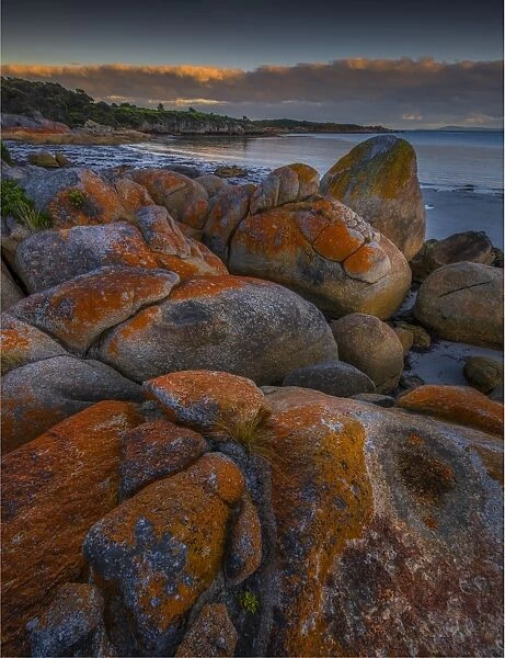 Dawn at Fotheringate beach Flinders Island, Bass Strait, Tasmania, Australia