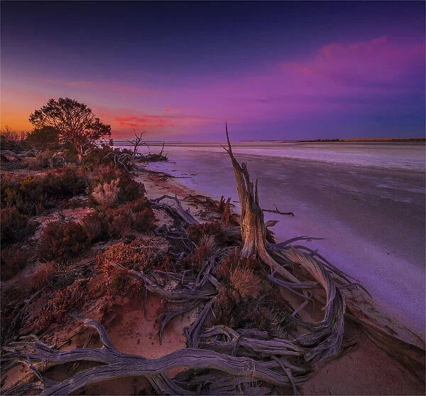 Dawn light on Lake Tyrrell, near the town of SeaLake, in the Wimmera District of Victoria, Australia