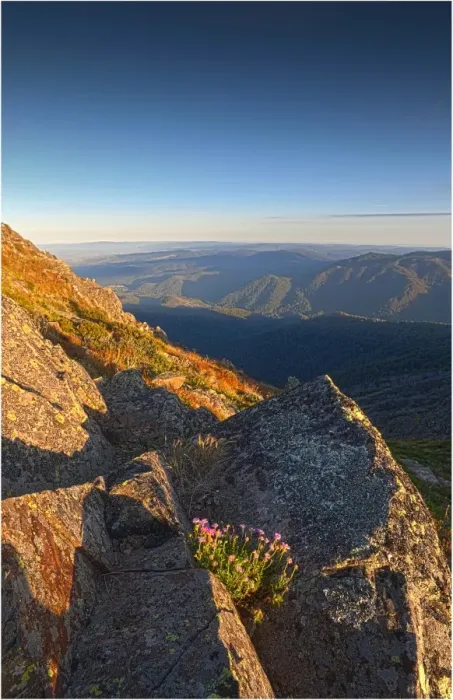 Framed Print : Dawn light near the summit of Mount Buller, in the high country of central Victoria