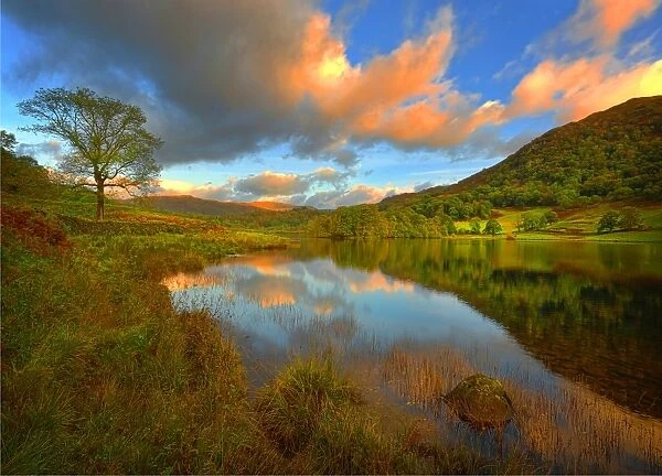 Dawn light on Rydal water, the Lakes District, Cumbria, England, United Kingdom