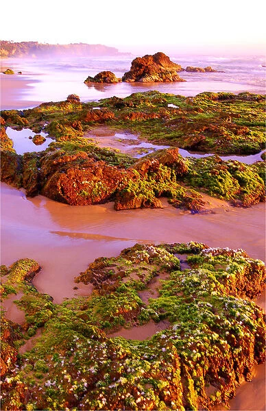 Dawn light on the Sapphire coastline, New South Wales, Australia