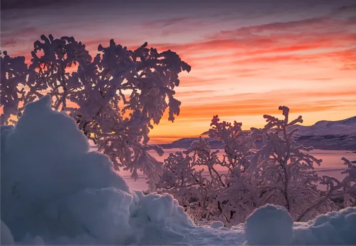 Framed Print : Dawn light sweeps across the landscape at Bjorkliden, Lapland, Sweden