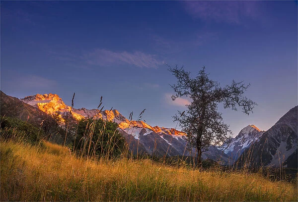 Dawn, Mount cook national park, South Island of New Zealand