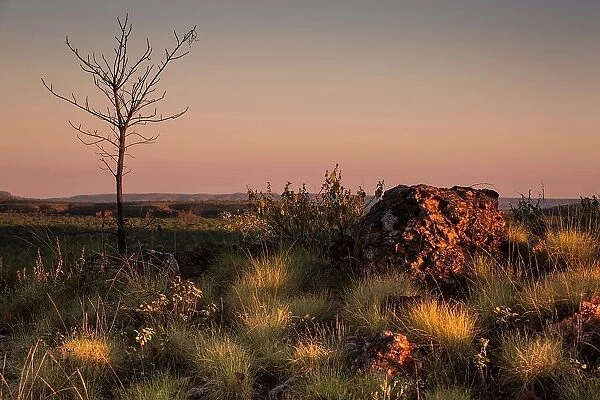 Dawn over the outback landscape