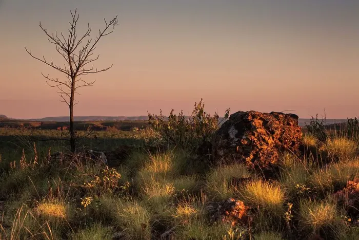 Framed Print : Dawn over the outback landscape