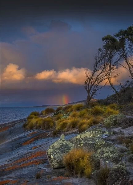 Dawn Rainbow Marshall Bay